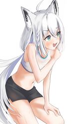 shirakami fubuki from hololive