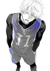 nagi seishirou from blue lock