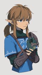 link from the legend of zelda