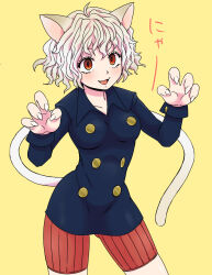 neferpitou from hunter x hunter by ichiban shibori