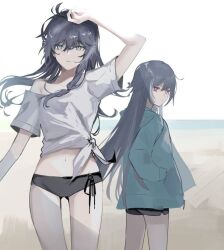 fu hua from honkai (series)