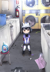 common raccoon (kemono friends) from kemono friends by himehachi (hime8manga)