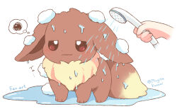 eevee from pokemon