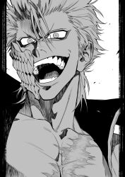 grimmjow jaegerjaquez from bleach