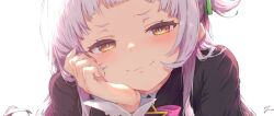 murasaki shion from hololive