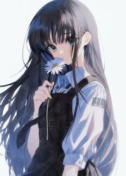 sakura no uta fan art