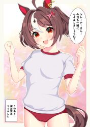 gran alegria (umamusume) from umamusume