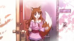 holo from spice and wolf
