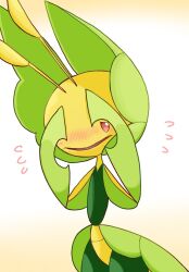 leavanny from pokemon