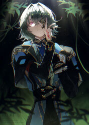 anaxa (honkai: star rail) from honkai: star rail
