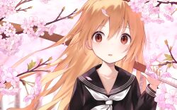 aisaka taiga from toradora!