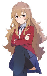 aisaka taiga from toradora!