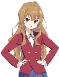 aisaka taiga from toradora!