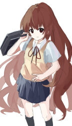 aisaka taiga from toradora!