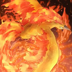 moltres from pokemon by spicyichizo