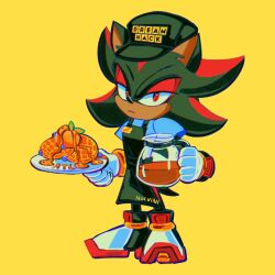 shadow the hedgehog from sonic (series)