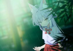 tenko shibuki from stellive by pn (wnsl216)