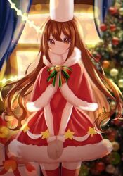 cocoa cookie from christmas