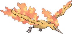 moltres from pokemon by sugimori ken