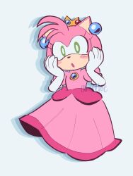 amy rose from sonic (series)