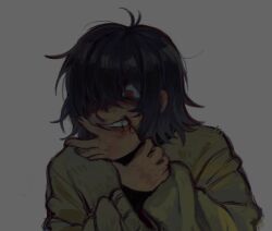 kris (deltarune) from deltarune