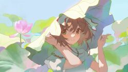 kinomoto sakura from cardcaptor sakura