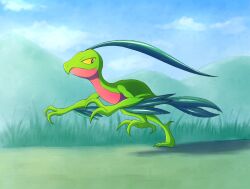 grovyle from pokemon