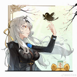 yi xuan (zenless zone zero) from zenless zone zero