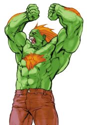 blanka from capcom by nishimura kinu