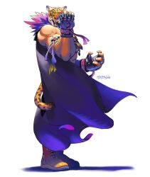 king (tekken) from tekken