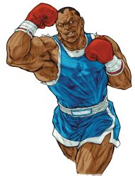 balrog (street fighter) from capcom by nishimura kinu