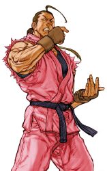hibiki dan from capcom vs snk 2 by nishimura kinu