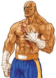 sagat from capcom by nishimura kinu