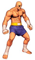 sagat from capcom by mori toshiaki