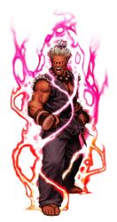 akuma (street fighter) from capcom by mori toshiaki