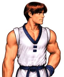 kim dong hwan from capcom vs snk 2 by nishimura kinu