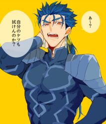 cu chulainn (fate) from fate/stay night