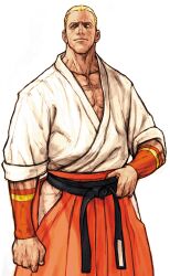 geese howard from capcom vs snk by nishimura kinu