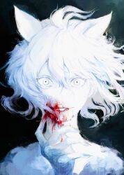 neferpitou from hunter x hunter