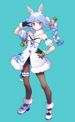 don-chan (usada pekora) from hololive