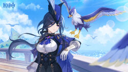clorinde (genshin impact) from genshin impact
