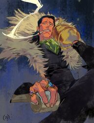 crocodile (one piece) from one piece