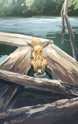 bidoof from pokemon