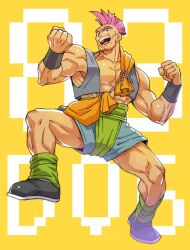 hassan (dq6) from dragon quest