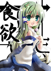 kochiya sanae from touhou by okemai
