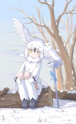 kemono friends fan art