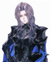 berserker (fate/zero) from fate/zero
