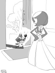 gardevoir from pokemon by hime takeo