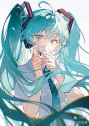 hatsune miku from vocaloid