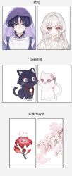 scaramouche (cat) (genshin impact) from genshin impact
